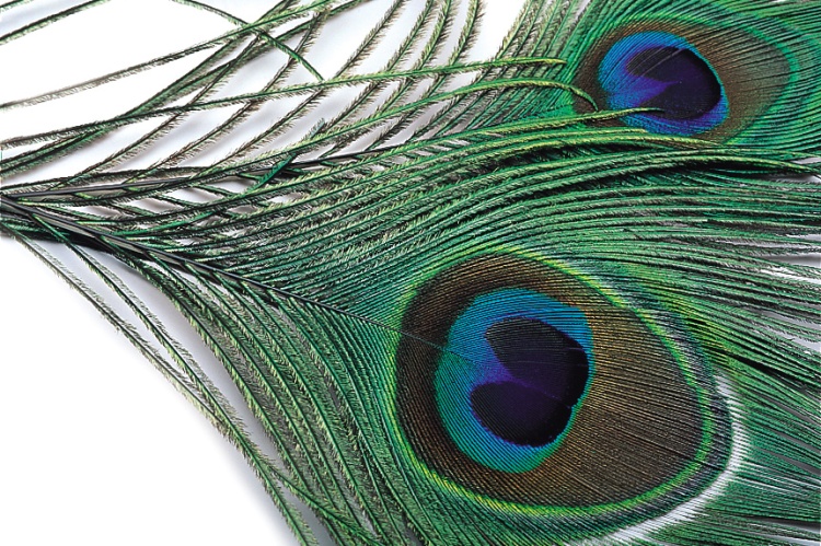 Veniard Peacock Eye Top Fl. Yellow Fly Tying Materials